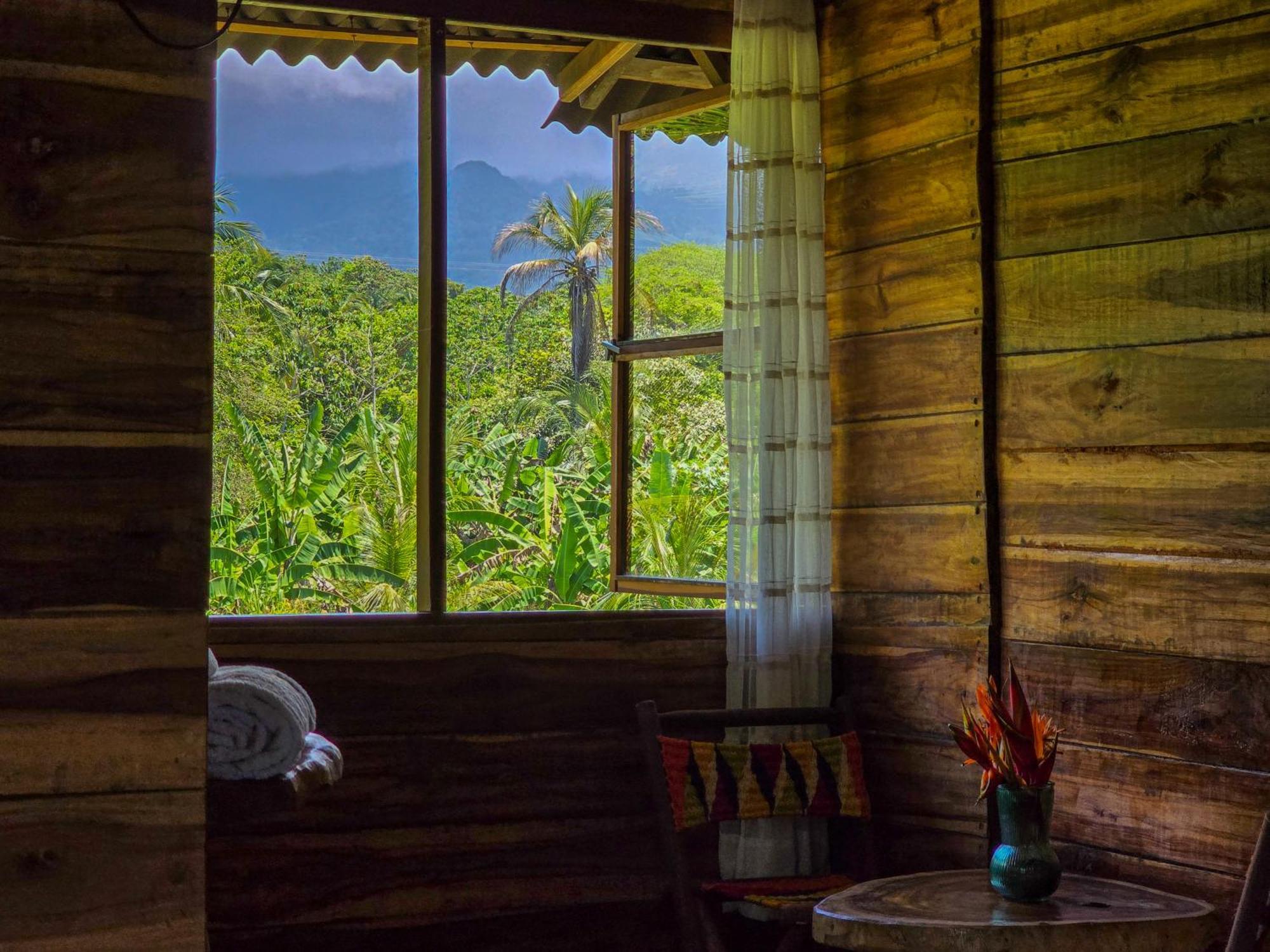 Natyva House Apartment Guachaca Стая снимка
