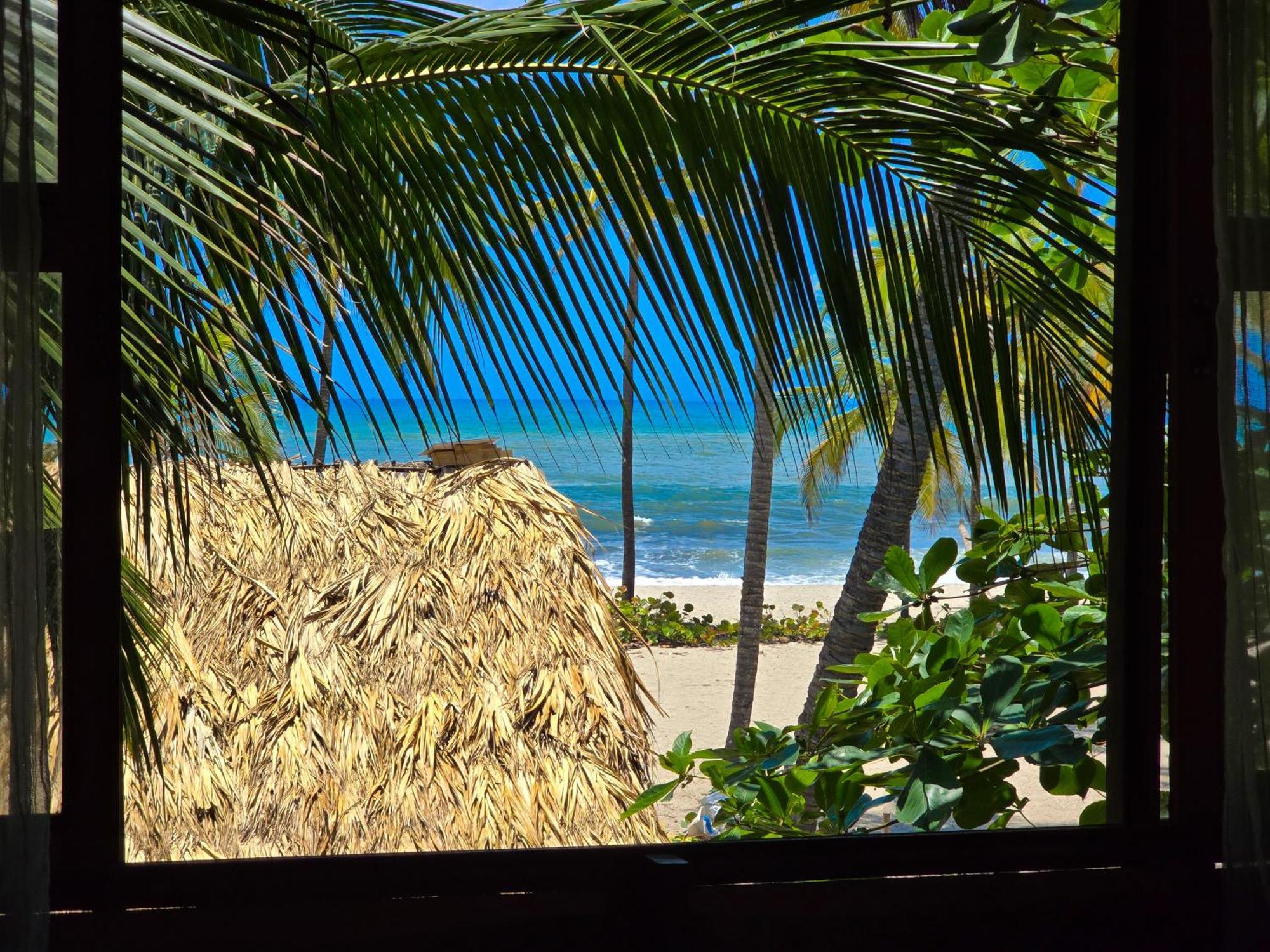 Natyva House Apartment Guachaca Стая снимка